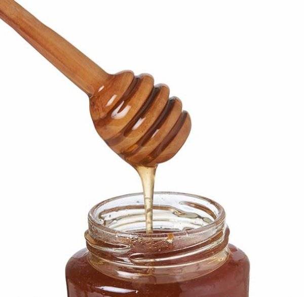 Лесной мед: полезные свойства и противопоказания
