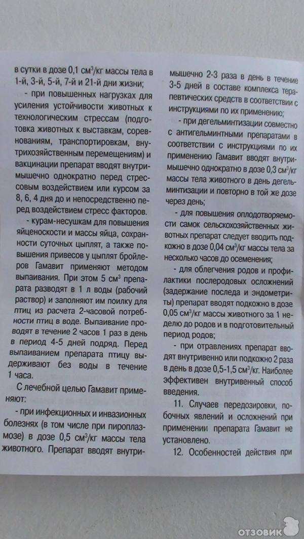 Гамавит на страже здоровья кроликов | кролики. разведение и содержание в домашних условиях
