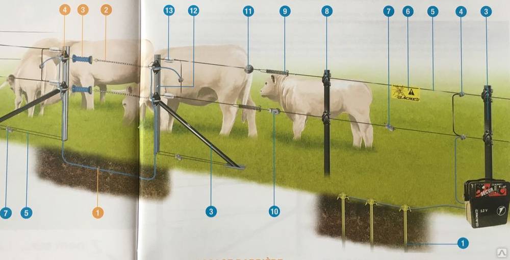 Установка электропастуха для коров
