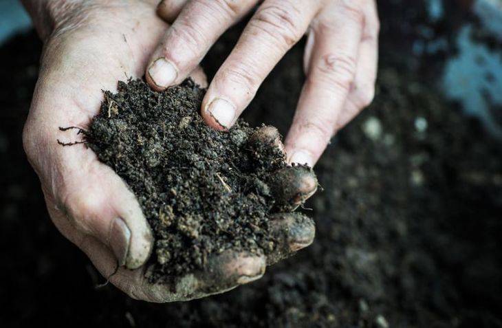 Как сохранить плодородие почвы: лучшие советы как повысить плодородие почвы
