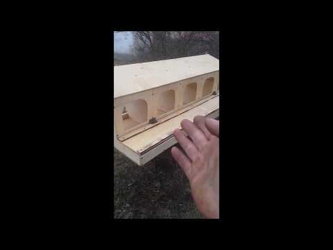 Как сделать гнездо для кур-несушек своими руками: размеры и инструкции