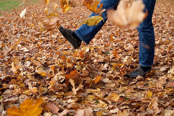 10 идей, что делать с опавшими листьями: не спешите сжигать и выбрасывать
