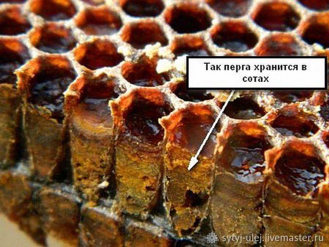 Медовые соты: польза и вред для организма
