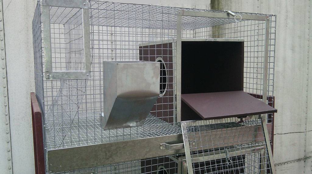 Промышленные заводские клетки для кроликов: критерии выбора, чертежи, изготовление своими руками