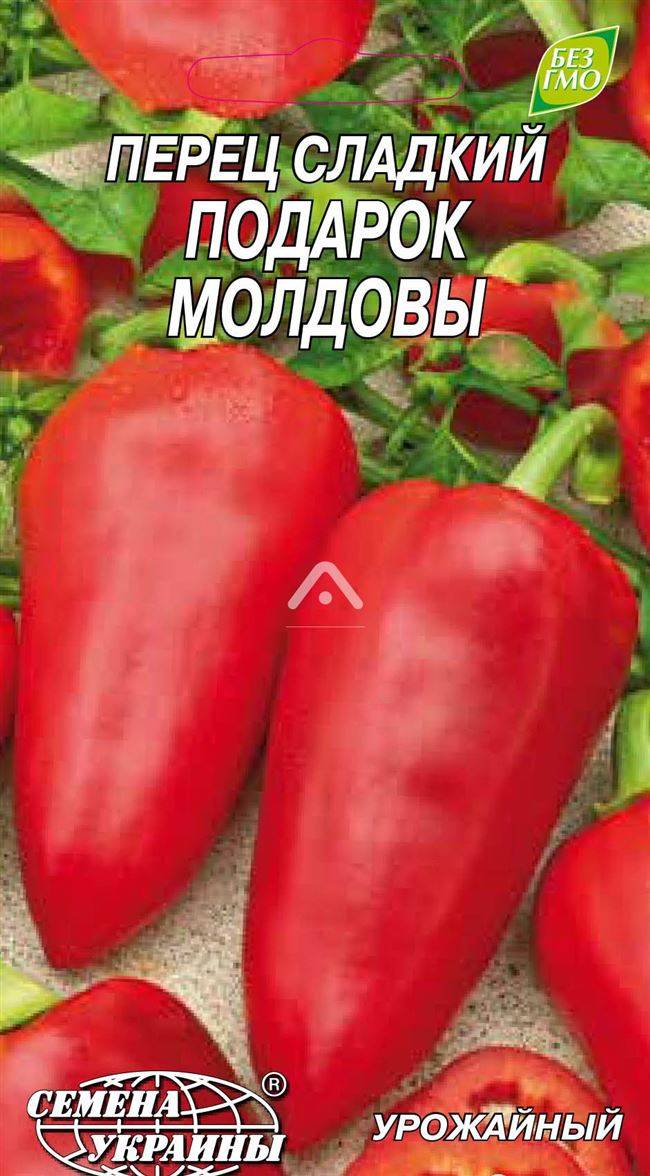 Перец подарок молдовы: отзывы, фото, урожайность, описание и характеристика сорта | properez.ru