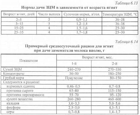 ᐉ заменитель молока для телят: выпойка, нормы, виды - zooon.ru