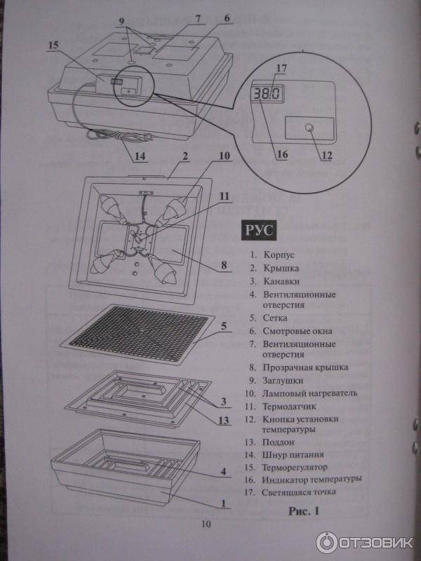 Об инкубаторе несушка: инструкция пользователя, схема, таблица инкубации, ремонт