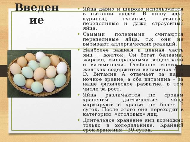 Страусиное яйцо: характеристики и факты. яйценоскость птицы