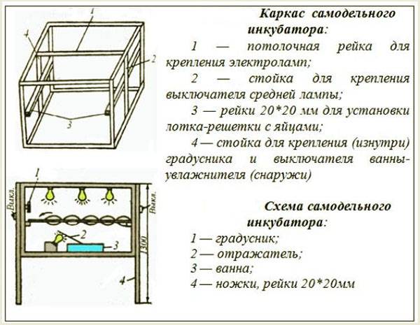 Вывод гусят в инкубаторе в домашних условиях: правила и таблица температуры по дням