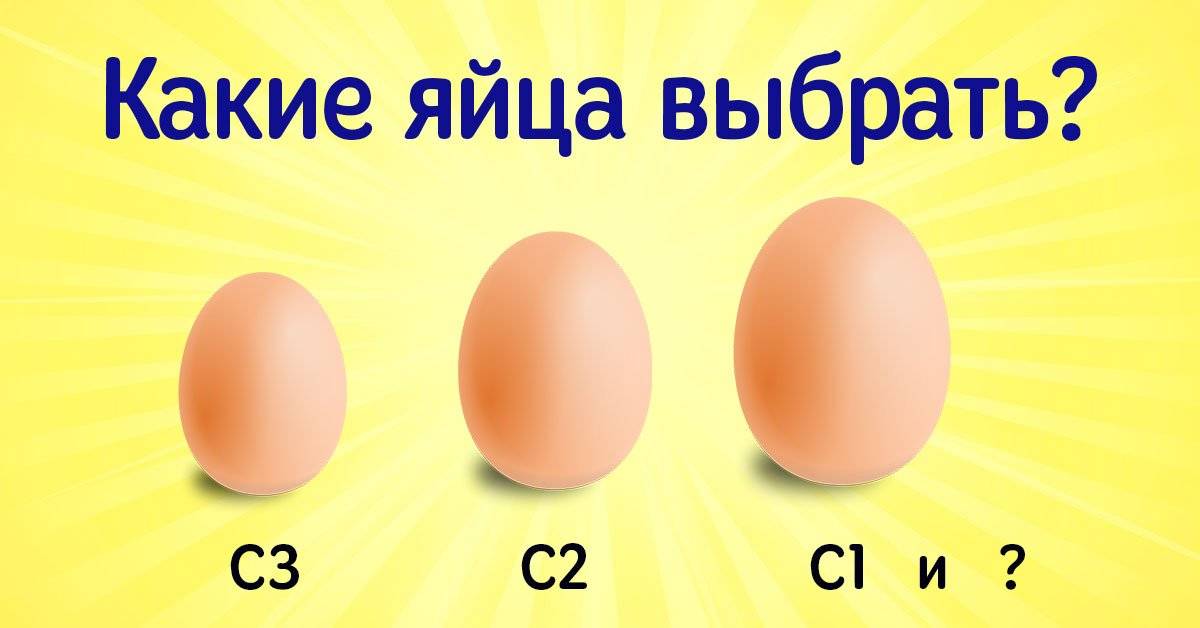 Вес куриного яйца - среднее значение и показатели у разных пород