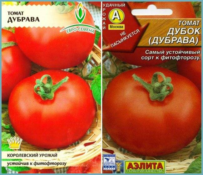 Сорт томата «дубрава»: фото, описание, характеристика и урожайность «дубка» |