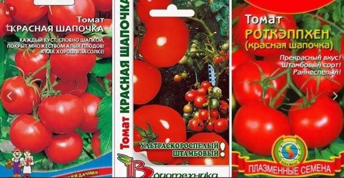 Как вырастить томаты красная шапочка - всё о землеводстве