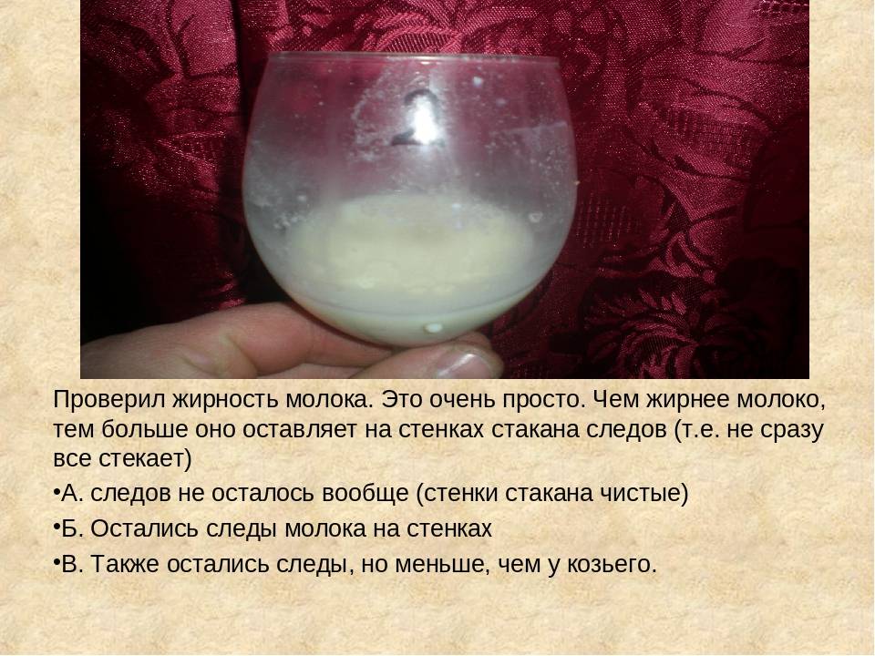 ᐉ жирность молока у коровы зимой и летом - godacha.ru