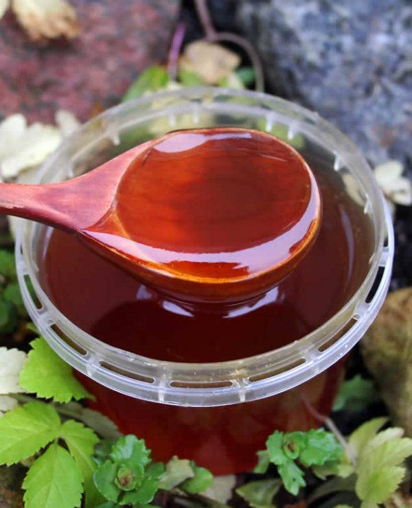 Дягилевый мёд: свойства и особенности применения продукта