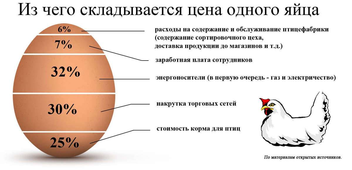 Сколько весят куриные яйца, и что влияет на их вес?