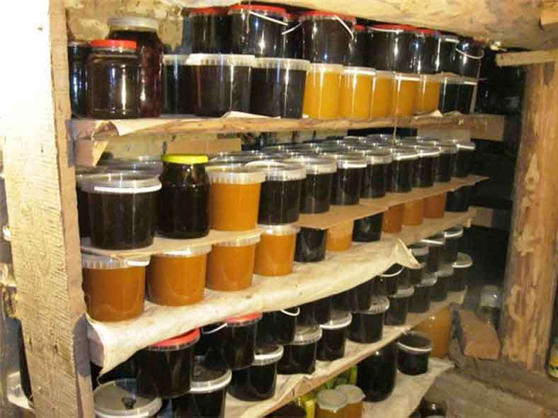 Советы, как правильно хранить мед в домашних условиях
