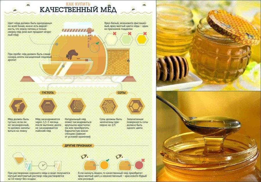 Как проверить мед натуральный или нет в домашних условиях надёжными методами