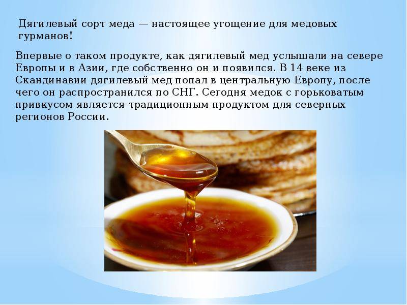 Мед из дягиля: полезные свойства и противопоказания