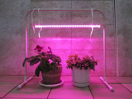 Как выбрать лампы для растений? фитолампа своими руками.