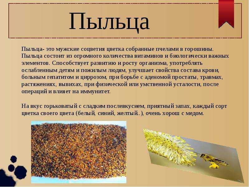 Пчелиная пыльца: полезные свойства и вред, как употреблять и зачем?