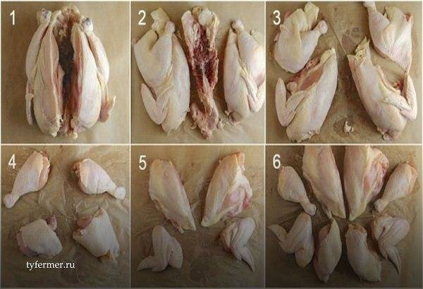 Как разделать тушку курицы — потрошение, способы разделки