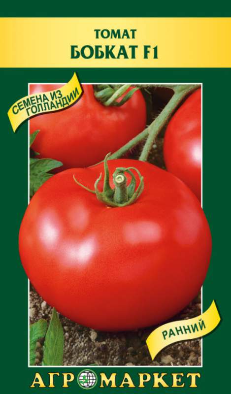«бобкат» f1 — промышленный томат для окрытого грунта