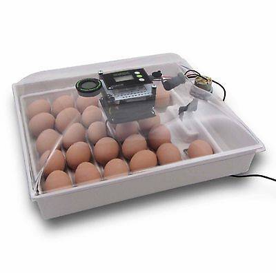 Что такое инкубатор для яиц и какие они бывают