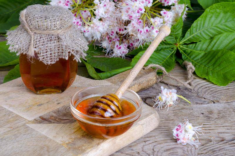 Мёд каштановый — полезные свойства и противопоказания, как различить настоящий от подделки