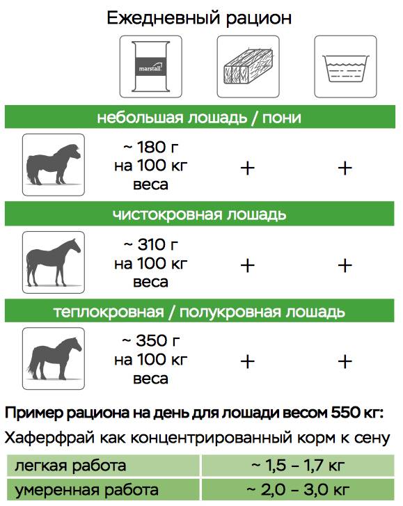 Сколько весит лошадь, весовые категории лошадей, как взвесить лошадь