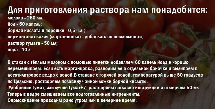 Как повысить урожай томатов путем регулирования развития. какие части томатов необходимо удалить для увеличения урожайности?