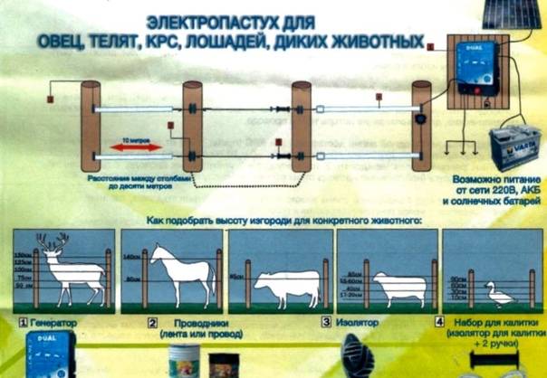 ᐉ электропастух для овец: как правильно выбрать? - zooon.ru