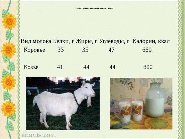 Сколько литров молока можно получить от одной козы