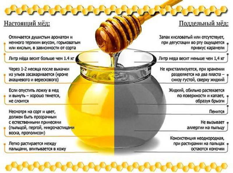 Как проверить мед на натуральность на рынке и дома: некоторые признаки некачественного меда и способы проверки