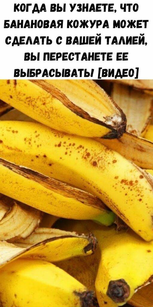 Можно ли кормить хомяка бананом