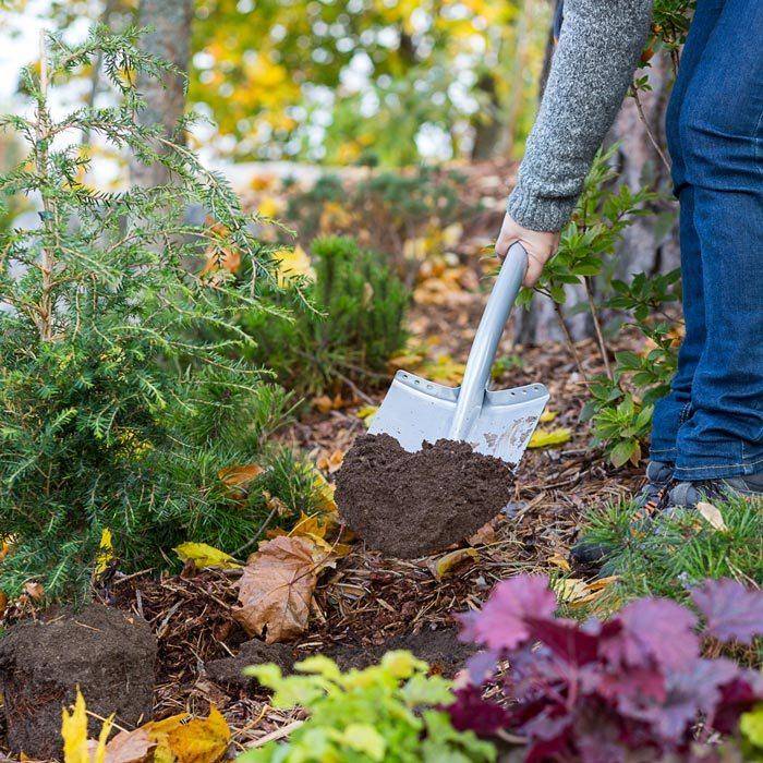 Не время расслабляться ! 10 важных дел в саду и огороде в октябре