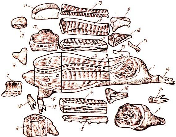 Тушка поросенка части схема