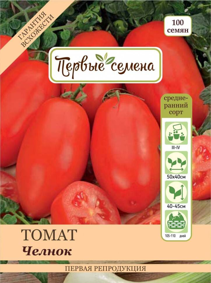 Как вырастить вкусные томаты сорта «челнок» и собрать хороший урожай