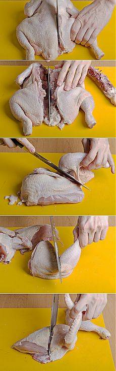 Как правильно разделать курицу — пошаговая инструкция