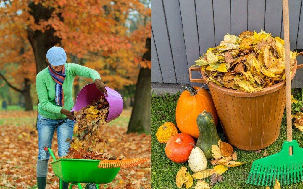 Уход за садом и огородом осенью: список важных дел