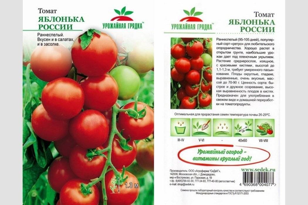 Сорт томата Яблонька России: описание и советы по выращиванию