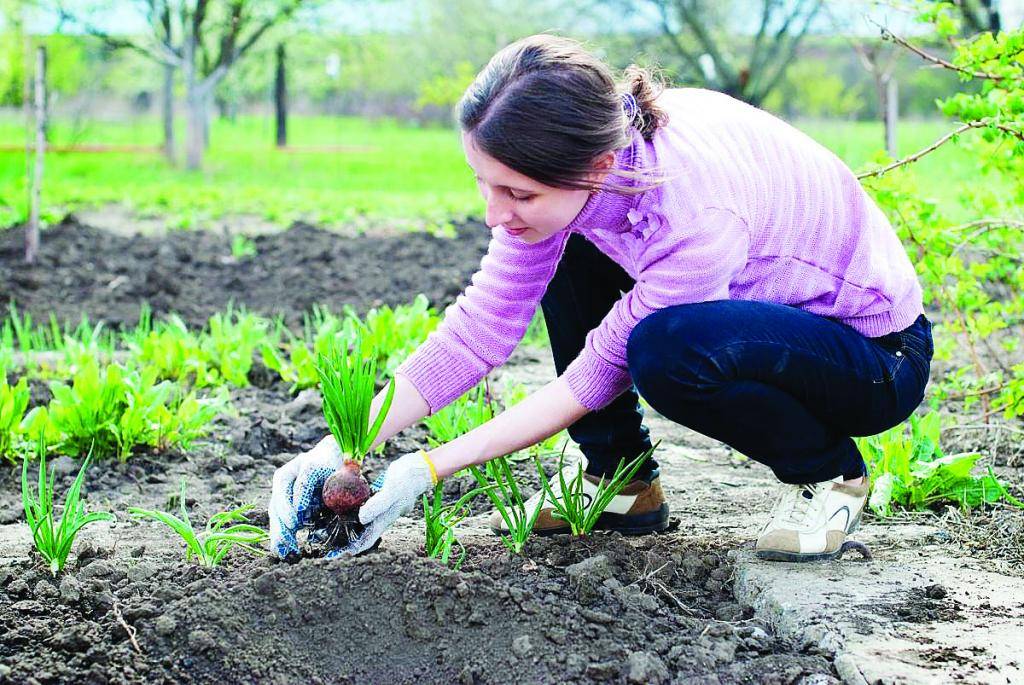 Дачные и садовые работы в апреле. полезные советы и рекомендации опытного садовода