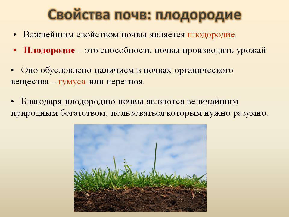 6 экологически чистых способов повысить плодородие почвы