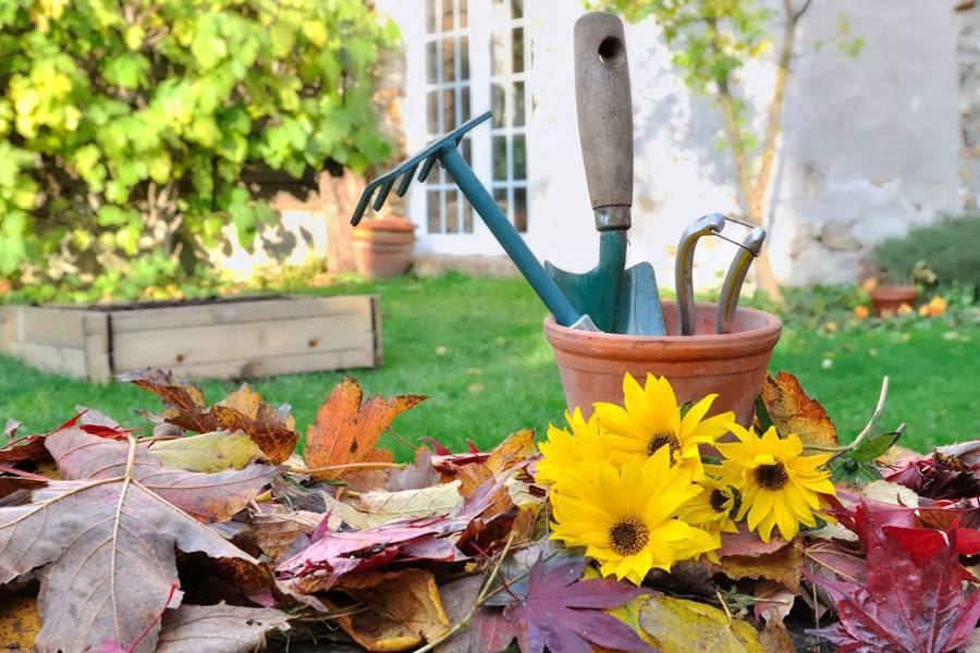7 самых важных дел в саду осенью – как подготовить сад к зимовке