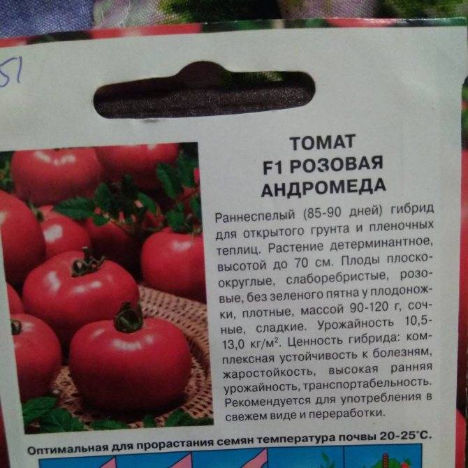 Чем хорош сорт томата «андромеда»: подробная характеристика, плюсы и минусы, описание технологии выращивания и ухода