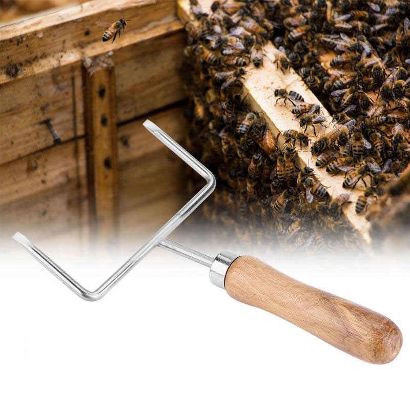 Пчеловодство для начинающих - важные условия и инвентарь для начала работы