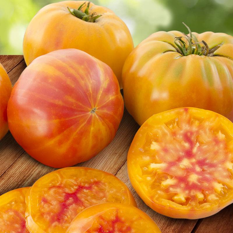Купить семена помидоры загадка природы