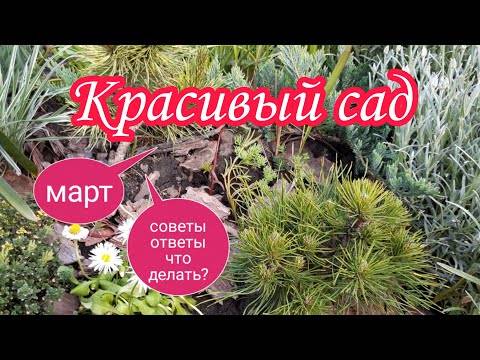 8 самых прибыльных растений для выращивания в 2021 году на supersadovnik.ru