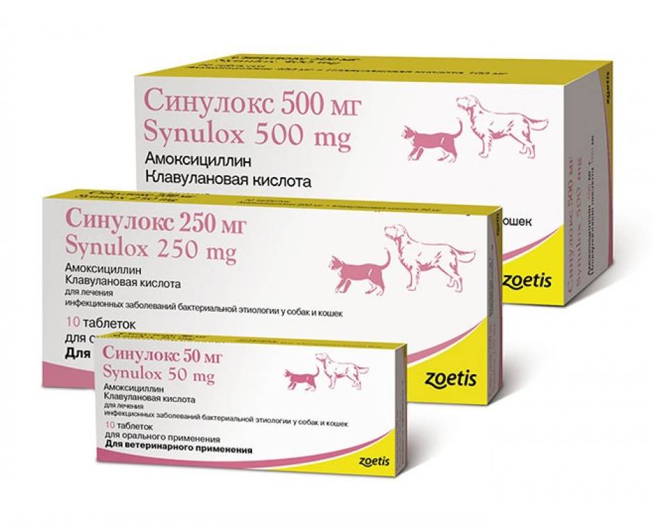 Синулокс: инструкция по применению антибиотика для коров, свиней и других животных