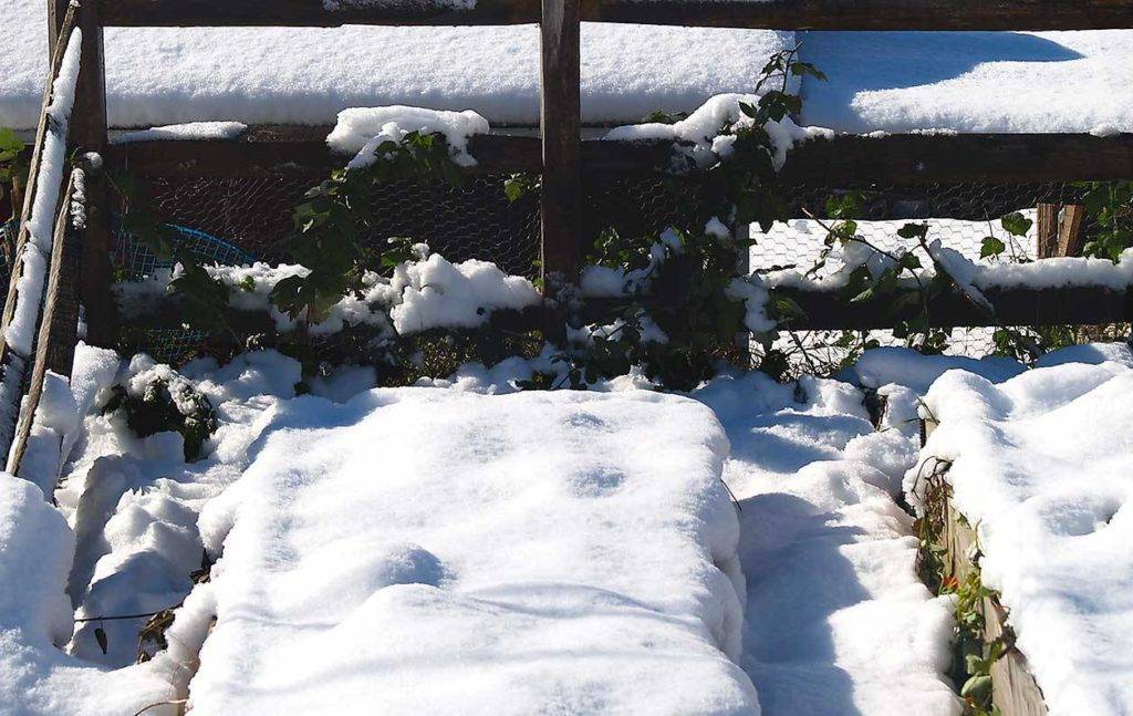 Снегозадержание на садовом участке, на даче