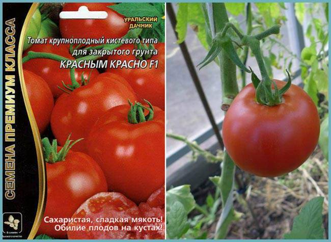 Томат красным красно f1: описание, характеристика, урожайность сорта, особенности и способы посадки и выращивания, отзывы, фото